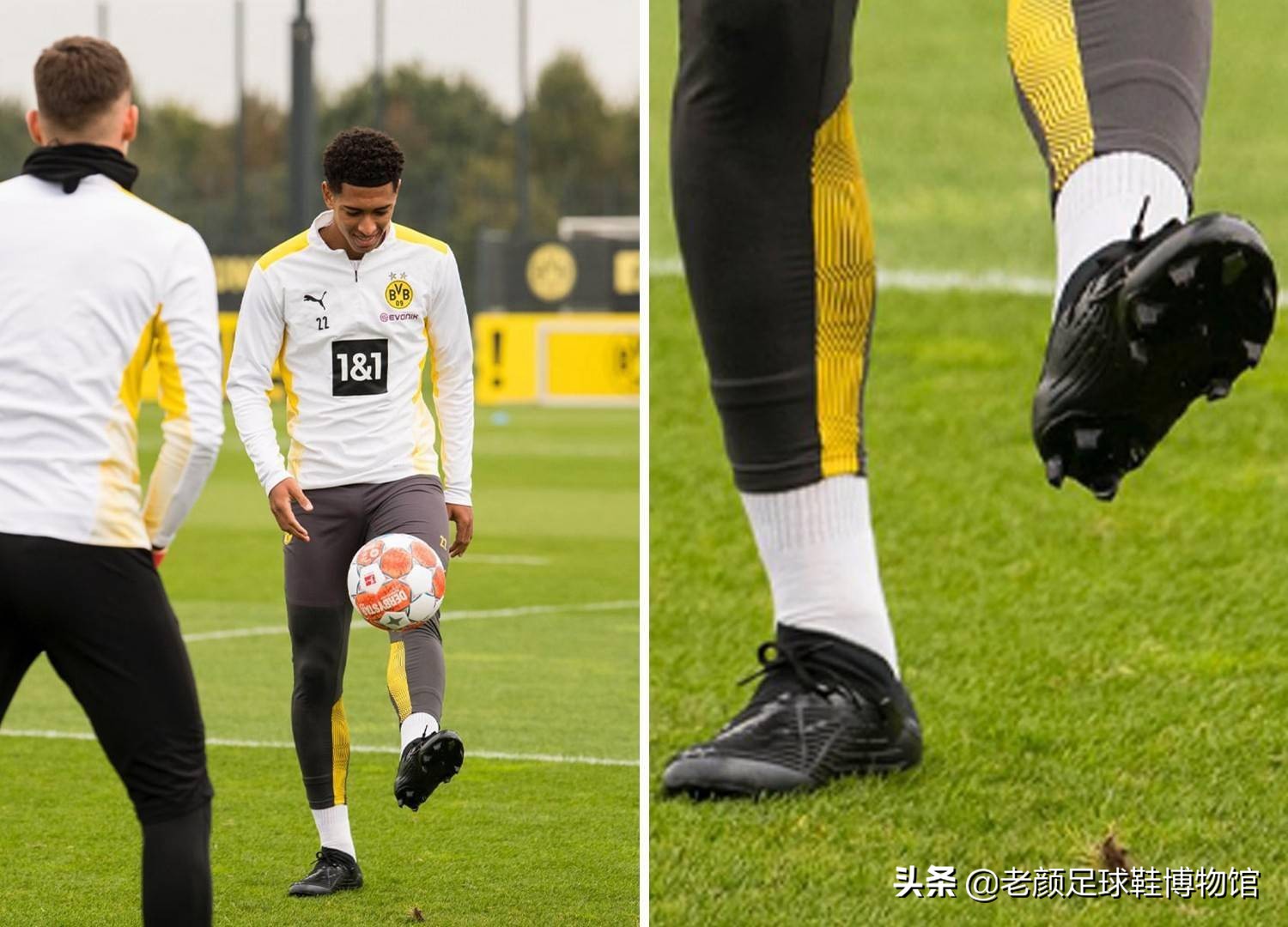 优雅与坚韧 优雅与坚韧